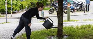 Durst löschen. Jede Kanne Wasser hilft den Bäumen zu überleben.