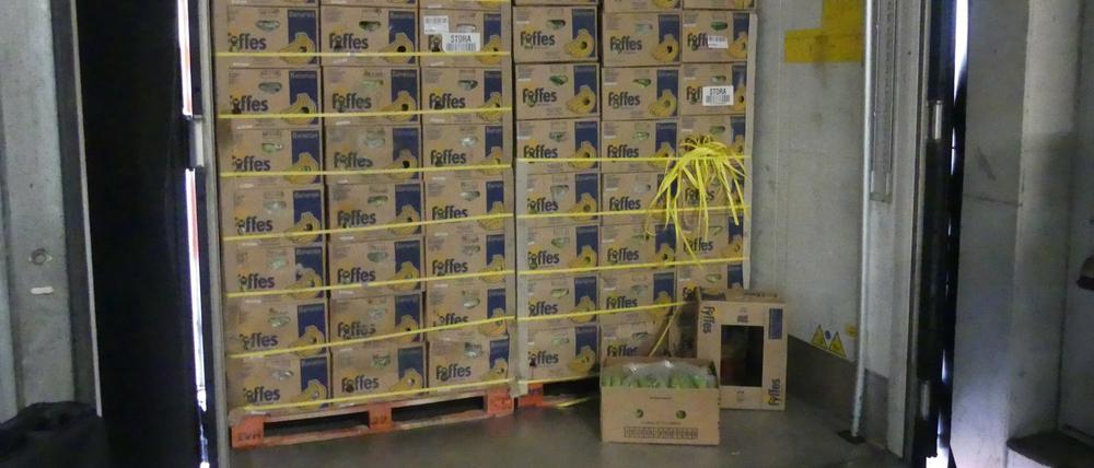 Groß Kreutz: Ermittler des Landeskriminalamts und des Zollfahndungsamts haben bei einem Obsthandel insgesamt 660 Kilogramm Kokain entdeckt.