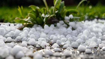 Hagelkörner nach einem Hagelgewitter am 11. Februar 2020 (Symbolbild).