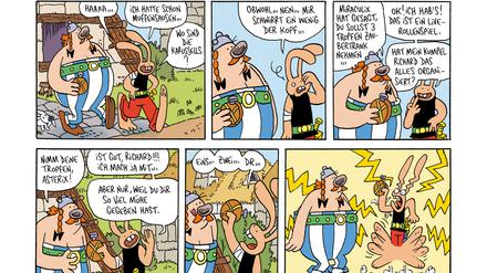Grässliches Gebräu: Herr Hase lernt den Zaubertrank kennen.