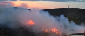 Lichterloh brennt der Wald in einem gesperrten Teil um einen Gipfel im Nationalpark Harz.