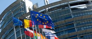 Das EU-Parlament in Straßburg.