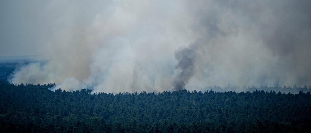 Anfang August brannte es mehrere Tage im Grunewald.