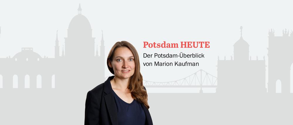 Der PNN-Newsletter - heute von Marion Kaufmann.