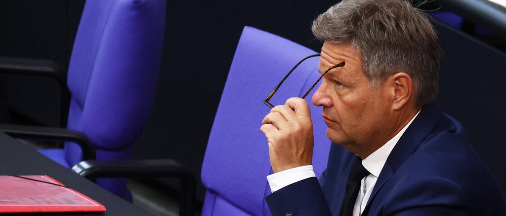 Bundeswirtschaftsminister Robert Habeck.