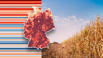 Viele Böden in Deutschland haben zu wenig Wasser bekommen. 