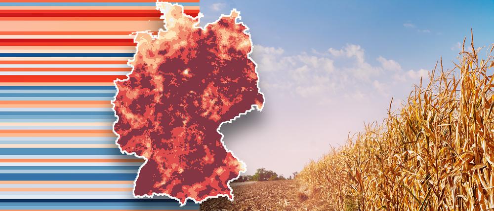 Viele Böden in Deutschland haben zu wenig Wasser bekommen.