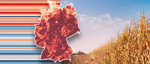 Viele Böden in Deutschland haben zu wenig Wasser bekommen.