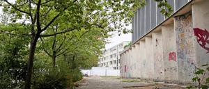 An der Rosa-Luxemburg-Schule sollen 15 Bäume gefällt werden - für die Erweiterung einer Turnhalle. 