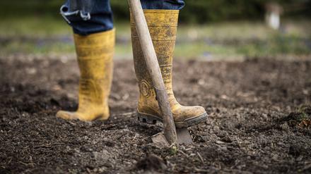 Symbolfoto zum Thema Gartenarbeit: Ein Mann arbeitet in Gummistiefeln mit Spaten in einem Garten in Melaune, 04.04.2020. Melaune Deutschland *** Symbol photo on the subject of gardening A man in rubber boots with a spade works in a garden in Melaune, 04 04 2020 Melaune Germany Copyright: xFlorianxGaertner/photothek.netx 