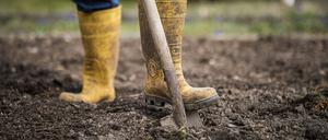 Symbolfoto zum Thema Gartenarbeit: Ein Mann arbeitet in Gummistiefeln mit Spaten in einem Garten in Melaune, 04.04.2020. Melaune Deutschland *** Symbol photo on the subject of gardening A man in rubber boots with a spade works in a garden in Melaune, 04 04 2020 Melaune Germany Copyright: xFlorianxGaertner/photothek.netx 