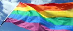 ARCHIV - ILLUSTRATION: 22.06.2013, Berlin: Eine Regenbogenfahne weht während des Umzugs zum Christopher Street Day (CSD). (zu dpa: "Immer mehr vermeintlich konservative Unternehmen tummeln sich auf dem Christopher Street Day" vom 27.06.2018) Foto: Wolfgang Kumm/dpa +++ dpa-Bildfunk +++