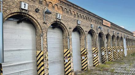Im Dornröschenschlaf. Unkraut überwuchert die Abstellgleise des früheren Straßenbahndepots.