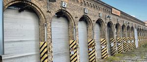 Im Dornröschenschlaf. Unkraut überwuchert die Abstellgleise des früheren Straßenbahndepots.