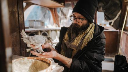 Ayham Majid Agha in seinem Taubenschlag