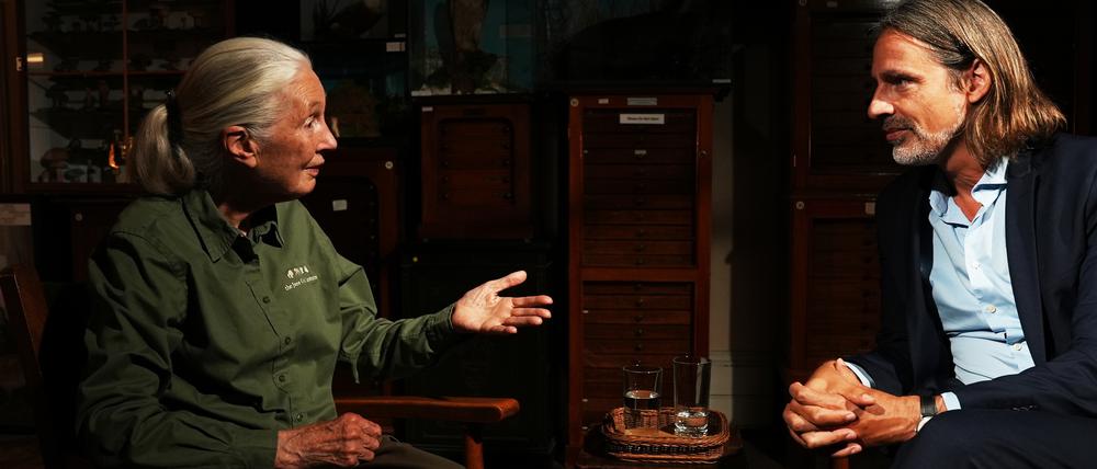 Verhaltensforscherin Jane Goodall im Gespräch mit Richard David Precht in der Jubiläumssendung zu zehn Jahre „Precht“ im ZDF