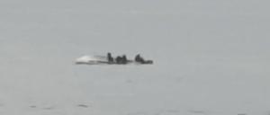 Das gekenterte Boot nach dem Unglück vor der Südinsel Neuseelands