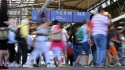 Brandenburgs Verkehrsminister sieht in der Finanzierung eine große Hürde für die Frage eines gemeinsamen Tickets.