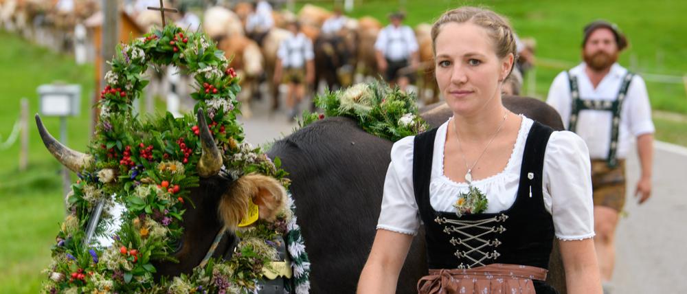 Beim Viehscheid führt Annemarie mit einem Kranzvieh eine Rinderherde an.