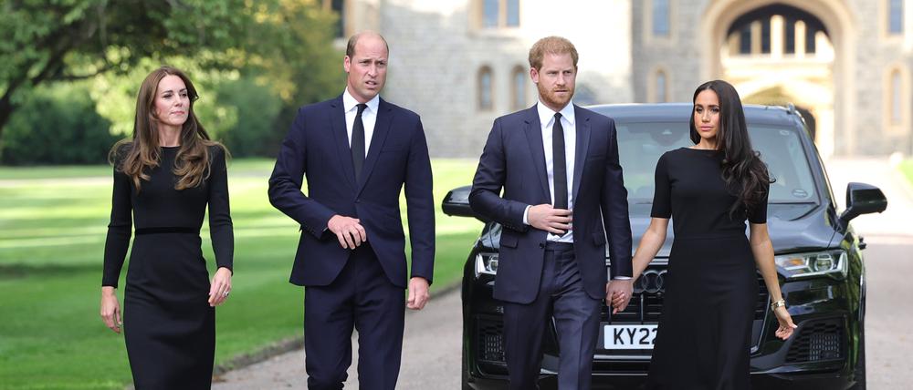 William und Harry wiedervereint?