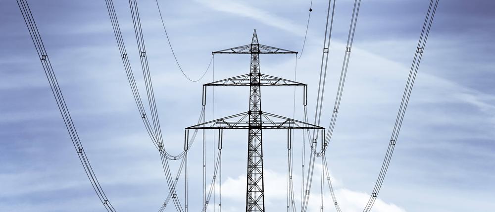 Viele Probleme der deutschen Energieversorgung hält Fuest für hausgemacht.