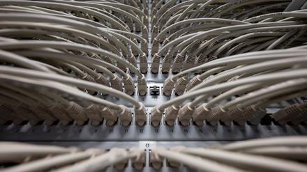Netzwerkkabel stecken im Höchstleistungsrechenzentrum HLRS in Ports eines Switchs.