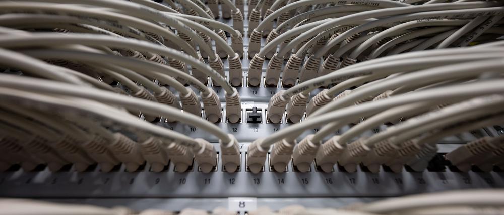 Netzwerkkabel stecken im Höchstleistungsrechenzentrum HLRS in Ports eines Switchs.