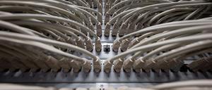 Netzwerkkabel stecken im Höchstleistungsrechenzentrum HLRS in Ports eines Switchs.