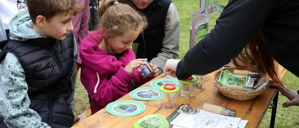 Beim Potsdamer Umweltfest, hier 2021, können auch Kinder Vieles ausprobieren. 