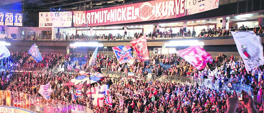 Die Fans der Eisbären können es kaum erwarten, ihre Mannschaft wieder zu sehen.