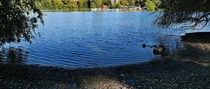Weißer See im Berliner Bezirk Pankow.