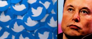 Im Oktober stehen Twitter und Elon Musk vor Gericht.