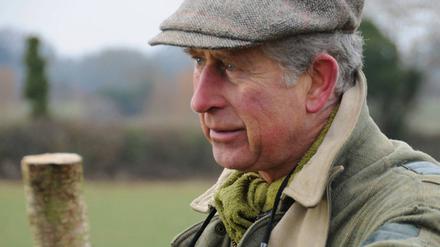 Seit Jahrzehnten Naturschützer. Im Dokumentarfilm „Der Bauer und sein Prinz“ aus dem Jahr 2013 kann man Prince Charles zusehen, wie er auf seinem Anwesen Highgrove Tiere artgerecht hält und Feld- und Bodenpflege betreibt. 
