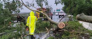 Feuerwehrkräfte in Puerto Rico räumen einen umgestürzten Baum von der Straße.