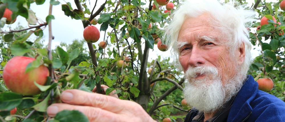 Gerhard Neumann, Inhaber von Neumann’s Erntegarten und Hofladen in Bornim bei Potsdam mit Äpfeln zur Selbsternte.