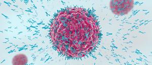 Antikörper attackieren Viruszellen