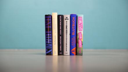 Das sind sie, die sechs Titel auf der Shortlist des Buchpreises in diesem Jahr