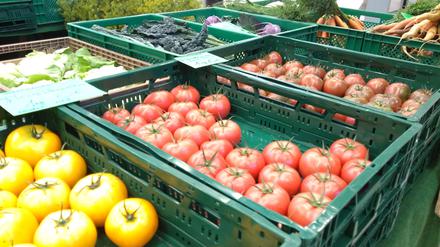 Große Auswahl, bunte Farben: Das schöne Flair am Wochenmarkt am Kranoldplatz