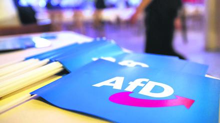 Fähnchen mit dem Logo der AfD.