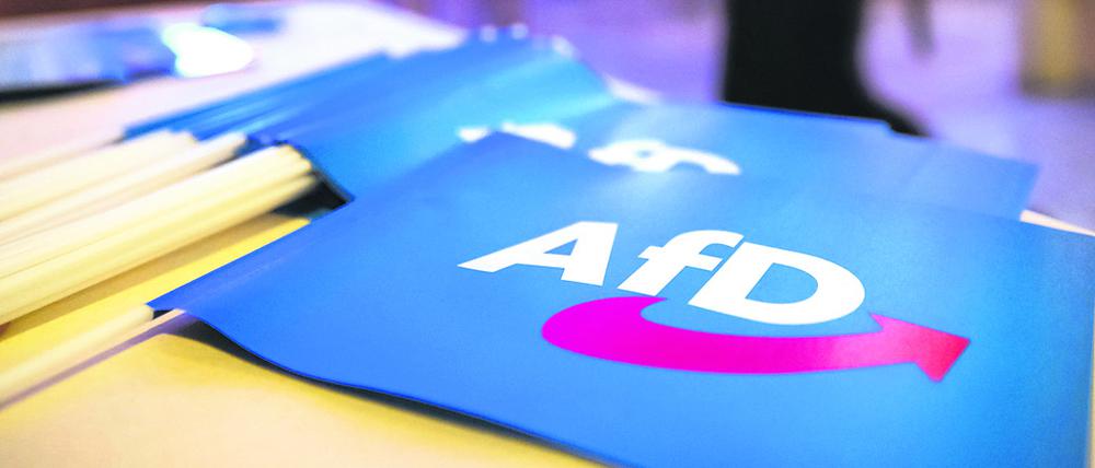 Fähnchen mit dem Logo der AfD.