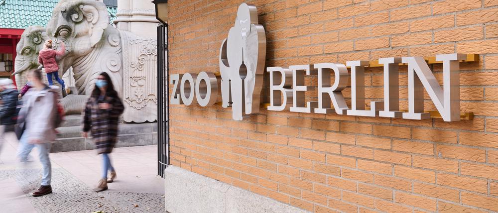 Im Berliner Zoo wurden unter anderem die Vorlauftemperaturen der Heizungsanlagen gesenkt.