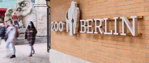 Im Berliner Zoo wurden unter anderem die Vorlauftemperaturen der Heizungsanlagen gesenkt.