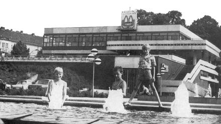 Das Terrassenrestaurant Minsk mit den Brunnen am Hang des Brauhausbergs in der DDR-Zeit.