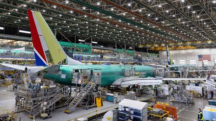 Zwei der 737 Max sind bereits abgestürzt, 346 Menschen kamen ums Leben.