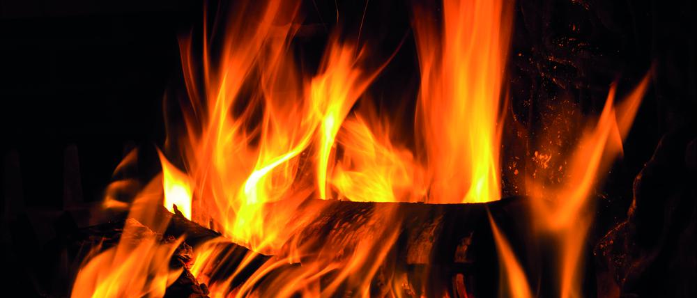 Lagerfeuerromantik in den eigenen vier Wänden: Die offene Flamme hat im Laufe der Jahrhunderte nichts von ihrer Faszination verloren, entsprechend beliebt sind bei steigenden Gas- und Heizölpreisen Kaminöfen. Wer möglichst bequem und effizient heizen möchte, sollte jedoch eher auf einen Pelletkaminofen setzen. Allerdings ist auch das Heizen mit Holz teurer geworden.