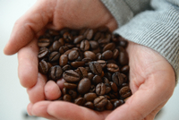 Begehrte Bohne Warum Kaffee So Teuer Geworden Ist Wirtschaft Tagesspiegel