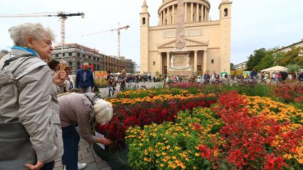 Besucher beim ersten Blüten- und Genussfestival auf dem Alten Markt.