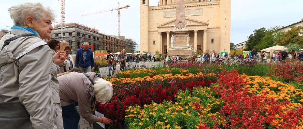 Besucher beim ersten Blüten- und Genussfestival auf dem Alten Markt.