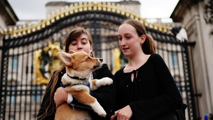 Zwei Frauen mit Clive, dem Corgi, stehen vor dem Buckingham Palace während der Trauerfeierlichkeiten für Königin Elizabeth II..