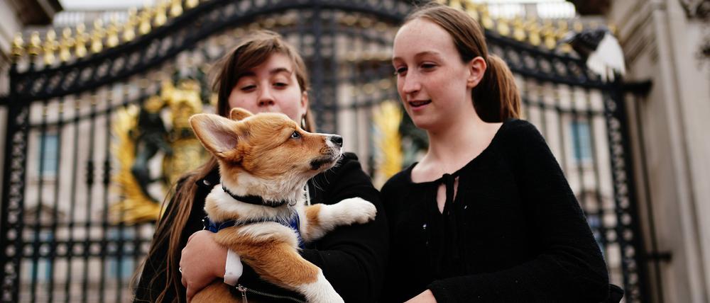 Zwei Frauen mit Clive, dem Corgi, stehen vor dem Buckingham Palace während der Trauerfeierlichkeiten für Königin Elizabeth II..